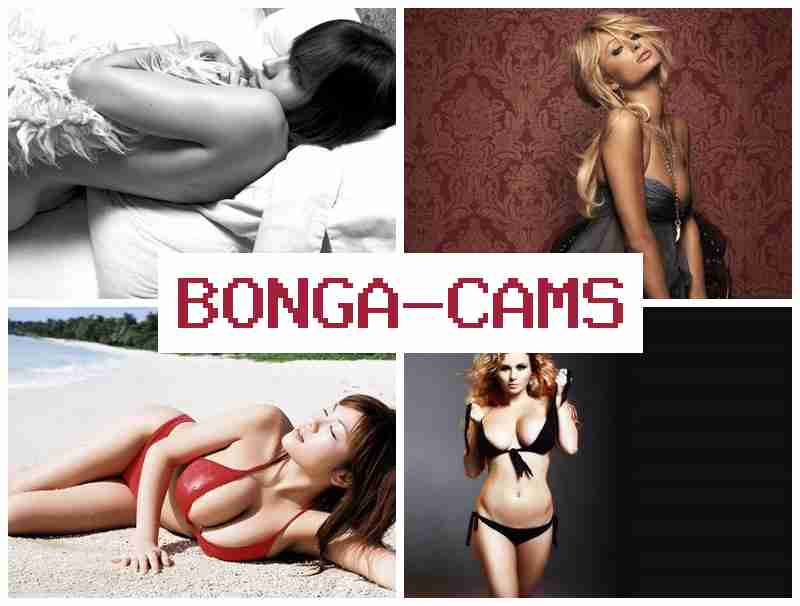 BOBGACAMS 💟 Webcam, Teen Dildos & Slut Porn