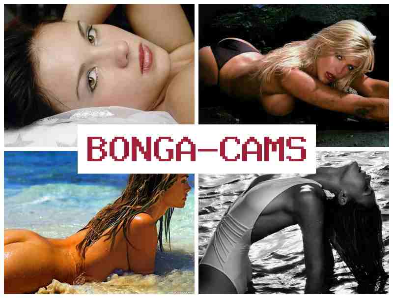 BONGACAKS 💕 AV4 US Girls Sex & Mature Milf Porn