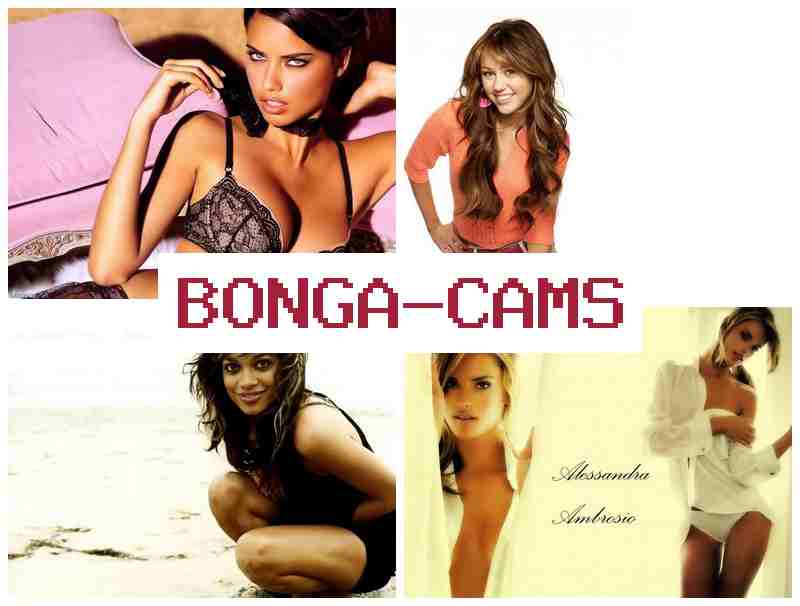 BONGAA CAMS 🔺 Slut Breeding & Tranny Porn