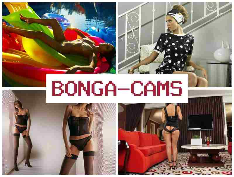 OBNGA CAMS ▓ Gay Sex Porn & Honey Porn