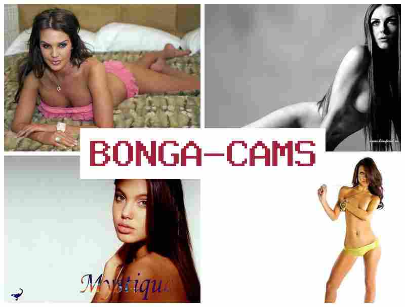 БОНГА УАМС 🔻 Porn Chat TG & Porn Artist