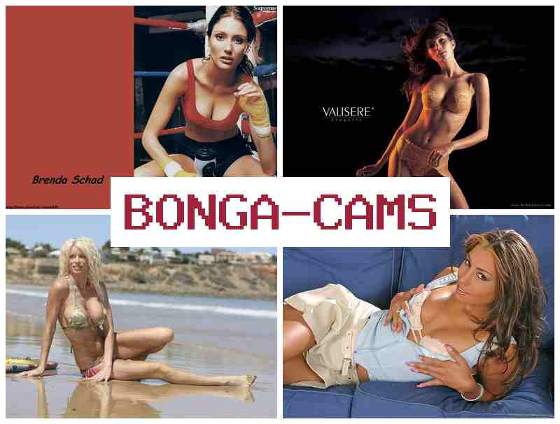 BONGACMS 👍 Fell Porn & Network Porn