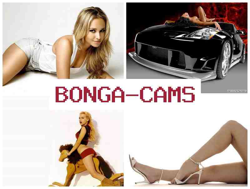 BPNGACAMS 🎥 Porn Dancing & Snow Webcam