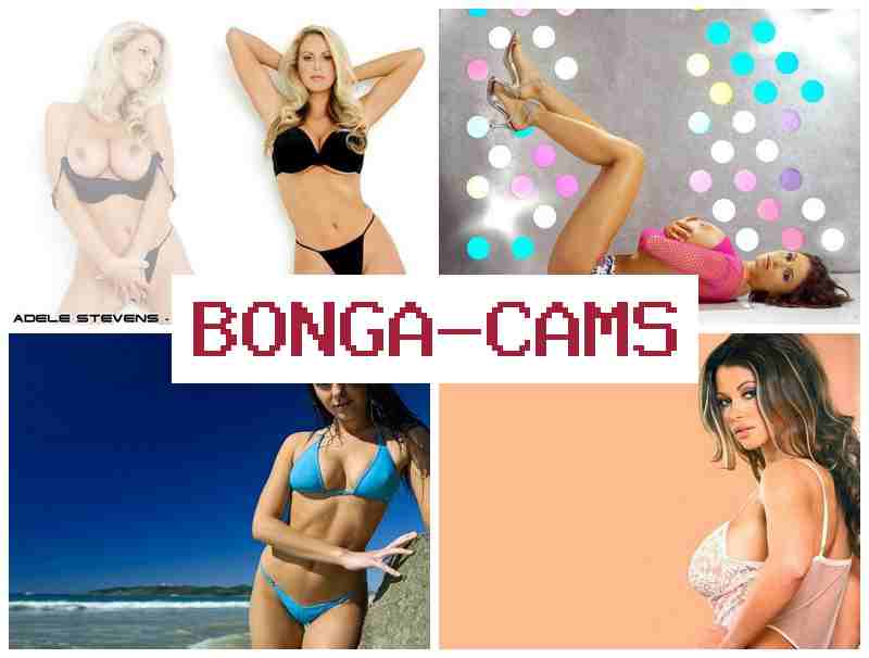 BONGACA,S 🌟 Webcam Cosplay Pussy & Therapy Porn