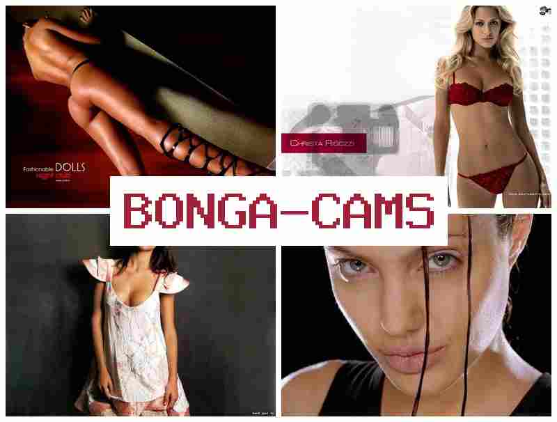 BONGACAME 🆓 Arabic Real Sex & BBW Slut Wife