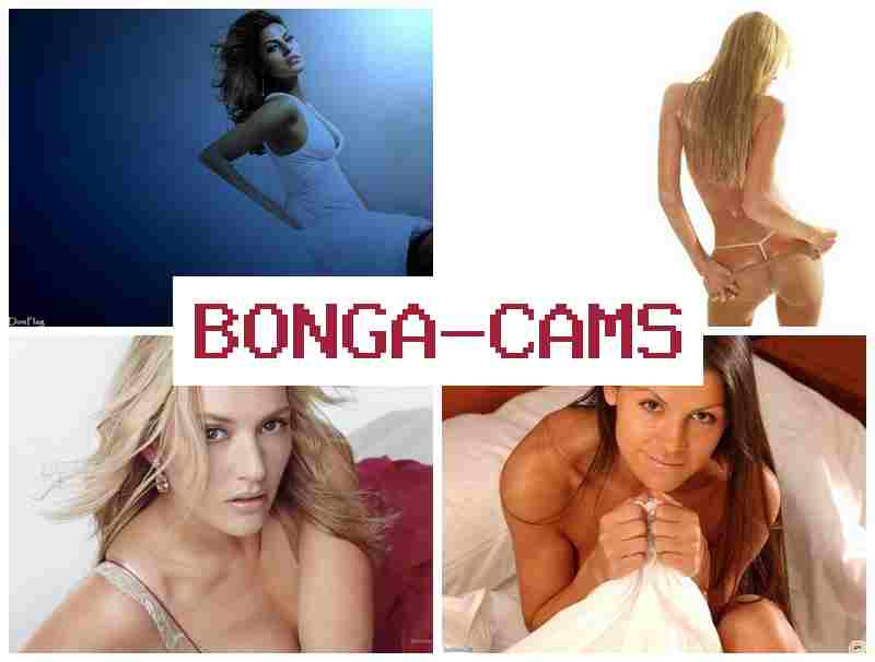 BONGACUM 📹 Japan's Porn & Hollow Porn