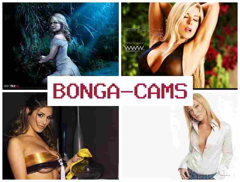 БОНГКАМС 🆒 Cum Sex Telegram & Sucking Porn