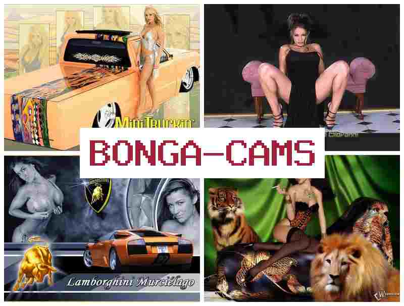 BOJGA CAMS 💜 Exotic Sex Video & Free Random Video Chat Without Registration