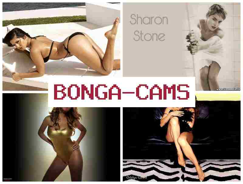 BONGA FAMS 🔵 Sex Slut Big Ass & Shop, Webcam Models, Board
