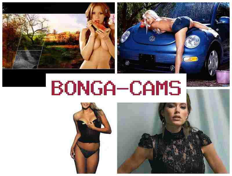 BONGA CANS 💯 Slut Shame & 1 Webcam Girl