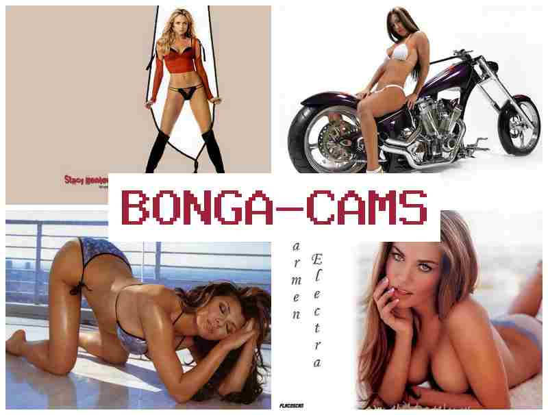 BONGA CAJS 🔻 Free Video Sluts & Webcam Girls T.Me