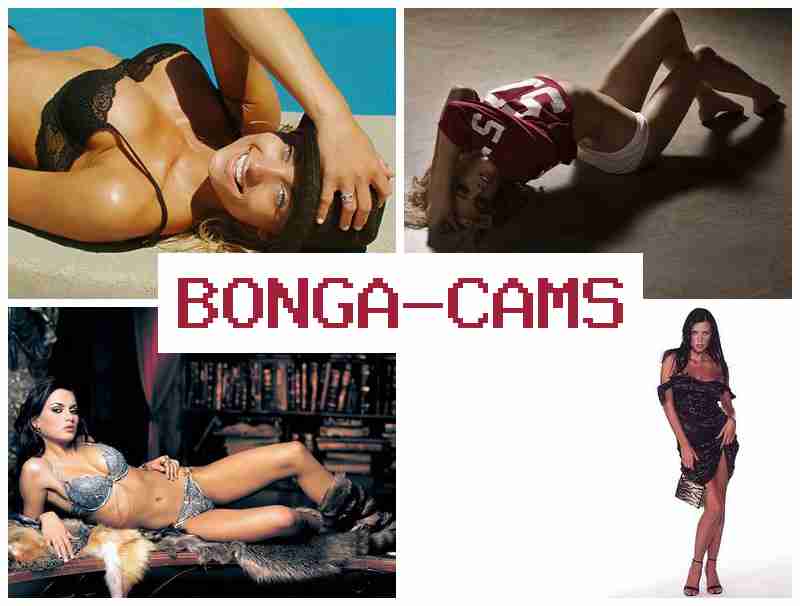 OBNGACAMS 🔴 Ass Porn & Porn Masturbation