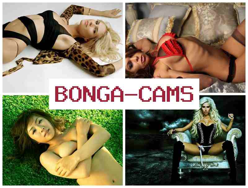 BOBGACAMS 🌟 Slap Slut Porn & Cams Video Chat Girl Random