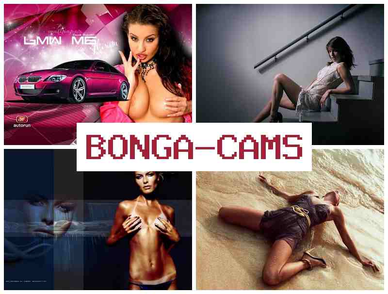 BONGACAJS ⭕ Favourite Slut & Up Slut Porno