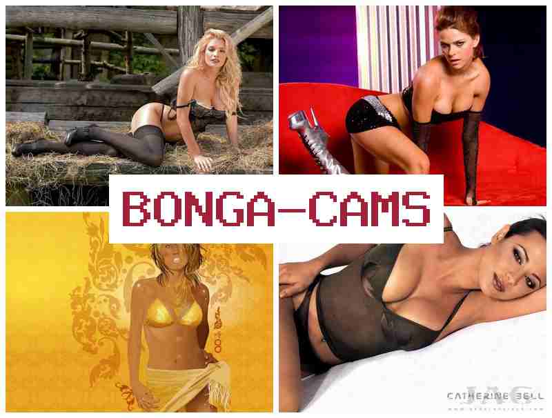 BONGACAMZ ♥ Suck Porn & Hotel Porn