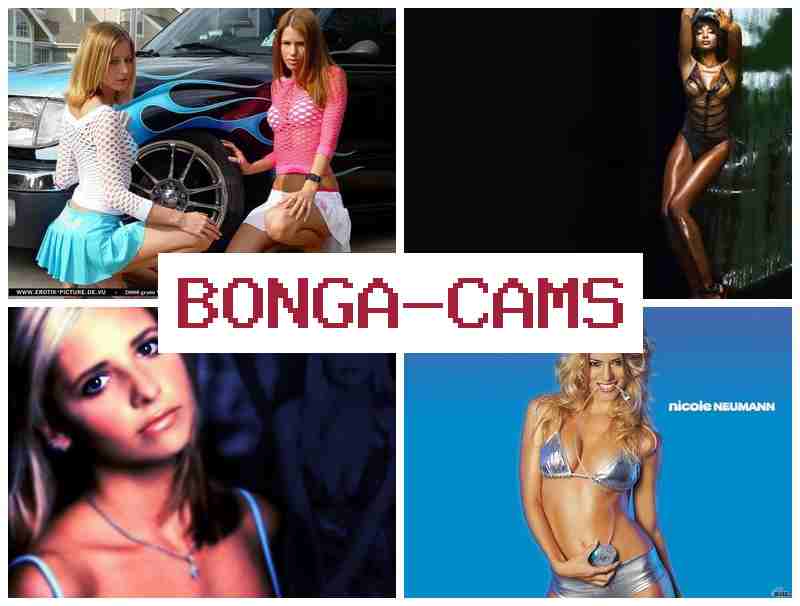BONGACAS ✔️ Sluts Vol & High Quality Sex Movies