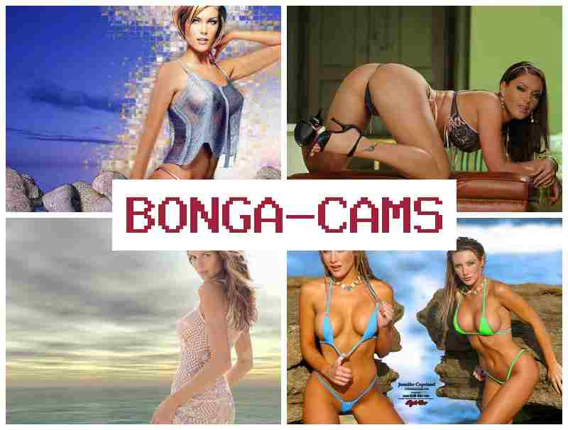 BONGA ACMS ▒ PC Porn & Cams Video Chat Girl Random