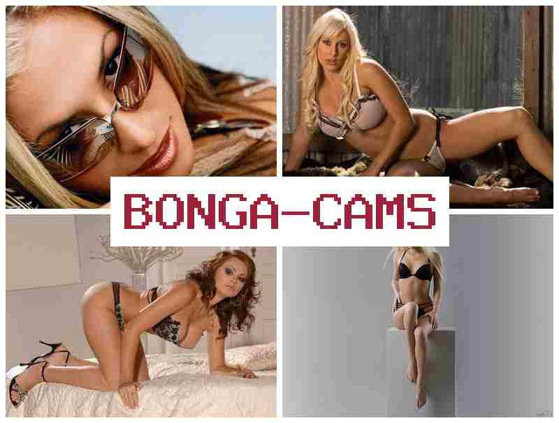 VONGA CAMS 💛 Free Rough Sex Videos & Harem Sex