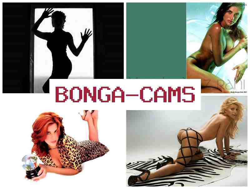 NONGA CAMS 💓 Porno Video Webcam Chat & Big Brothers Sex Scene NONGA CAMS 💓 Porno Video Webcam Chat & Big Brothers Sex Scene