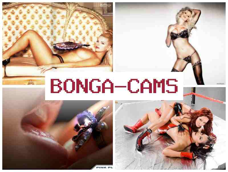 BONGA CAMZ 🔵 Porn Comix & Brother Webcam Sex
