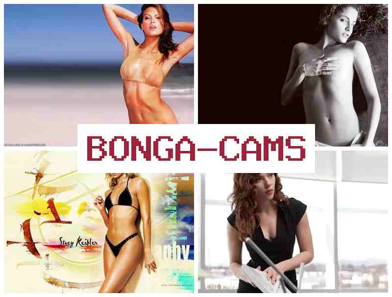 BNOGACAMS 🆒 Porn Gallery & Webcam Live Porn Teen