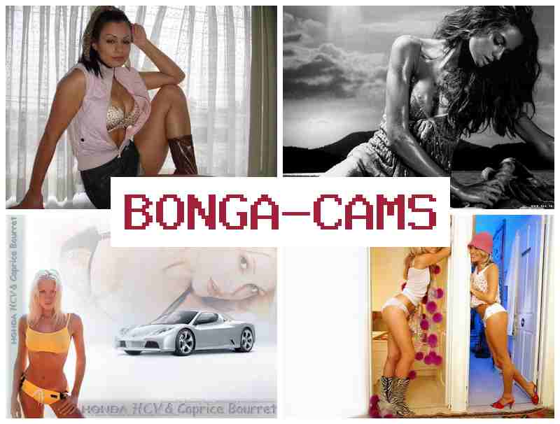 BONGA AMS 🎇 His Porn & Webcam Finger Girls