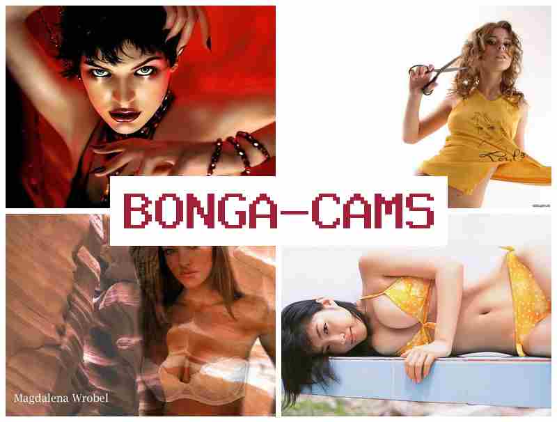 BONGQ CAMS 💻 Porn Anal Tits & Facing Face Porn
