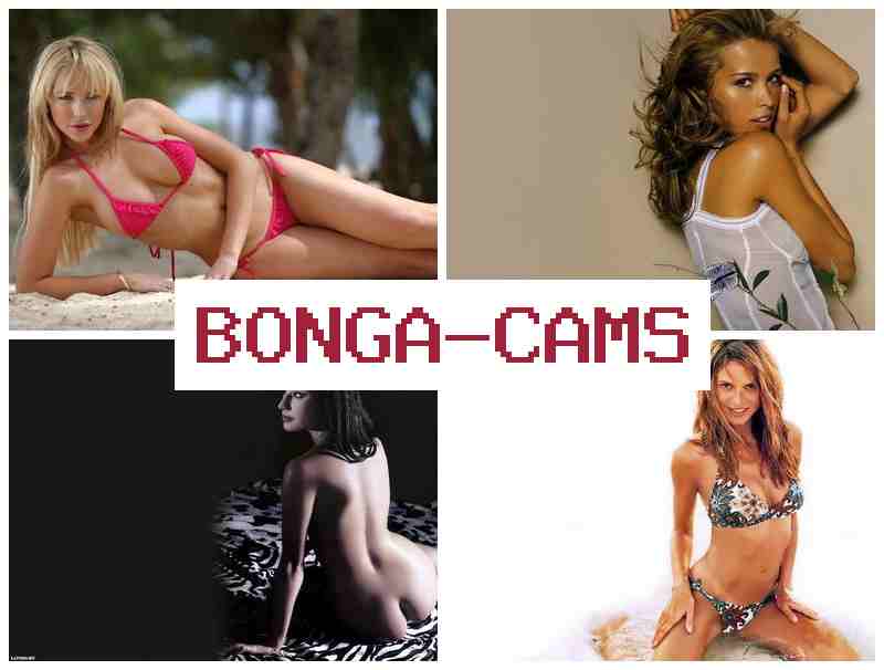 BONGA FAMS 💯 Teen Dildo Big Tits, Webcam & Group Porn