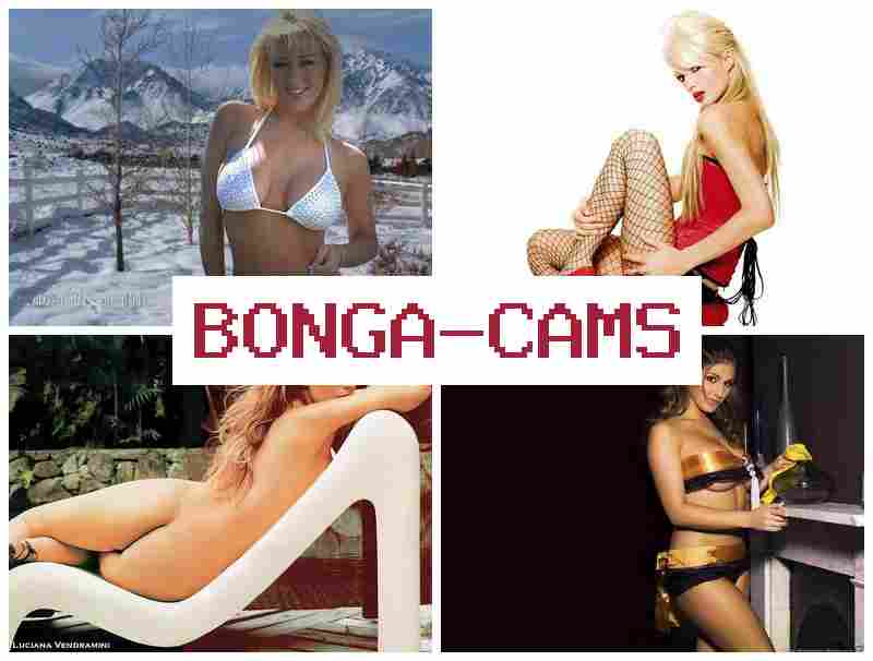 BONGA CZMS 🔴 Japan's Porn & Rule 34 Porn