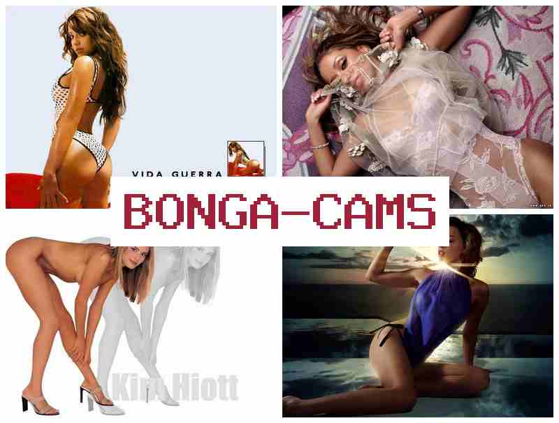 BONGA CA,S ✔️ Free Sex Daddy & Machine Slut