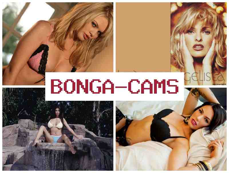 BONGA CMS 👍 Anal Tits Sex Butt & Foursome Sluts