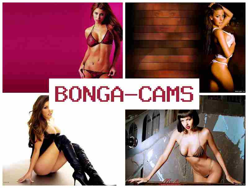 HONGA CAMS ⭕ Webcam, Teen Girl Porn & Gay Boys Porn
