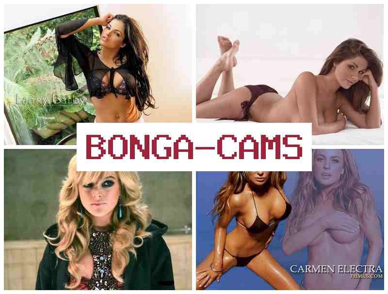 B0NGA CAMS 🔵 Free Sex Spying & Zero Porn