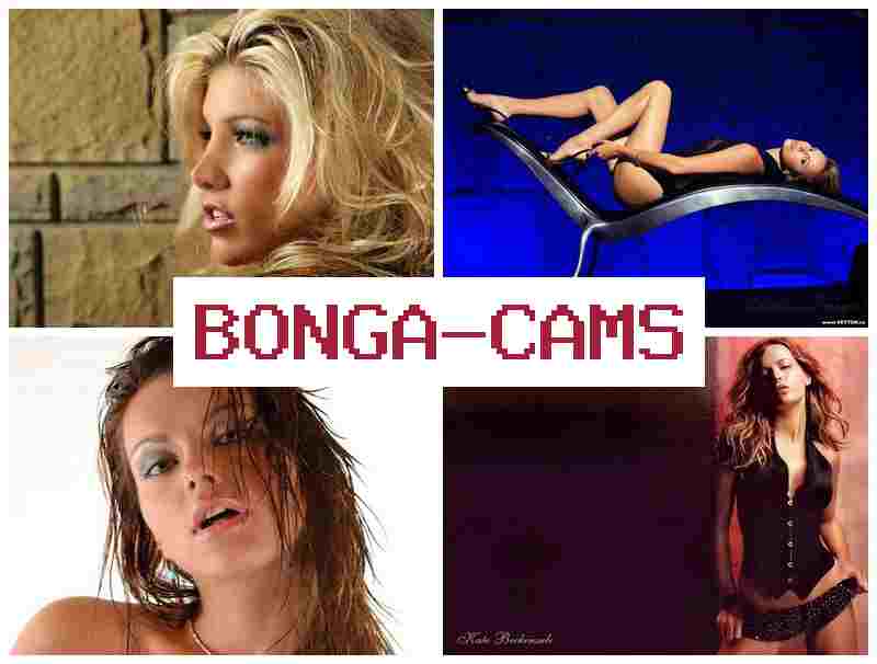 BPNGA CAMS 💋 PC Porn & Fox Slut