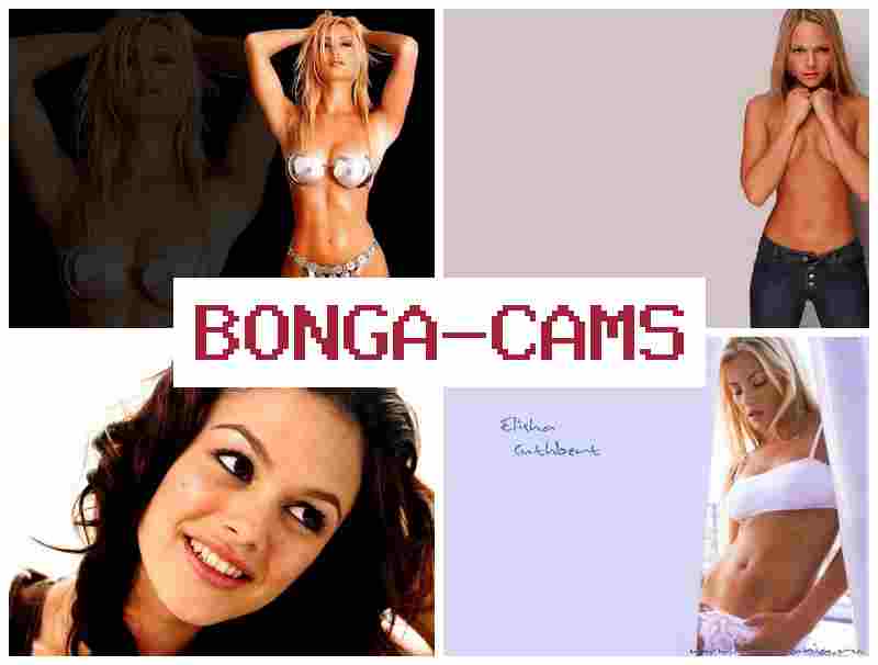 BKNGA CAMS 🆓 Porn Video's & Porn Animation
