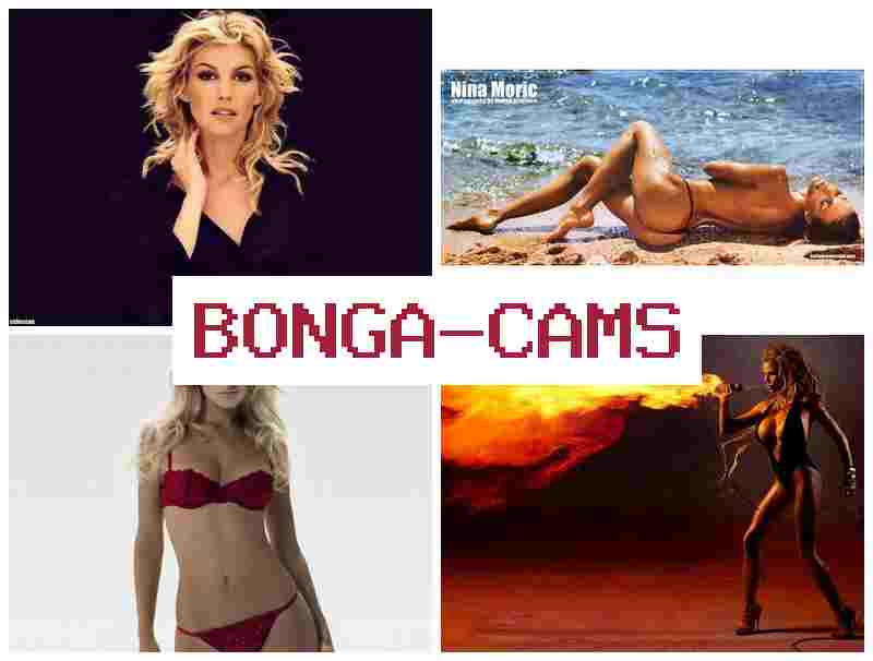 BPNGACAMS 💘 HD Sex Cumshot & Arab Strip Chat Sex COM Cmit Archive