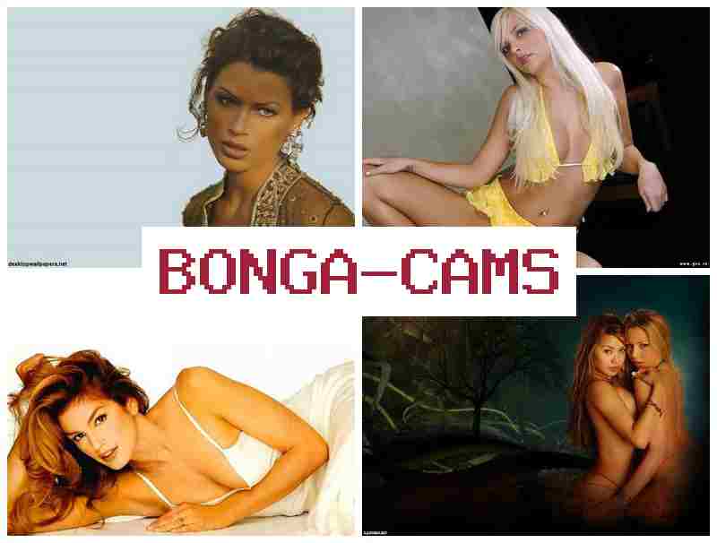 BONGADAMS 💟 West Porn & King Porn