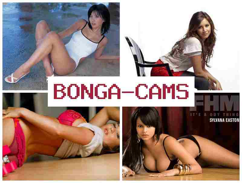 BONGA  CAMS 🔺 R34 Porn & Porno GIF Slut