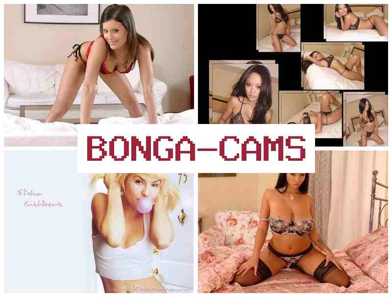 BNOGA CAMS 😍 Ass Fucked Sluts Porno & Slut GIF