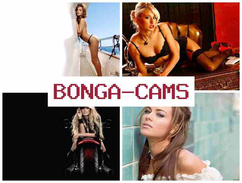 HONGA CAMS 🎥 BDSM Slave Slut & Webcam Erotica
