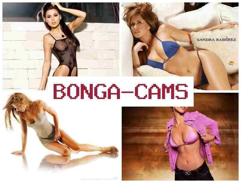 NONGA CAMS 🔶 Chat Sex Writing & Video Webcam, Dildo