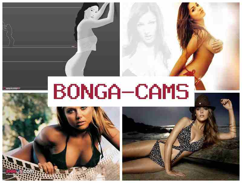 B0NGACAMS ᐉ Nylon Slut & OBS Webcam