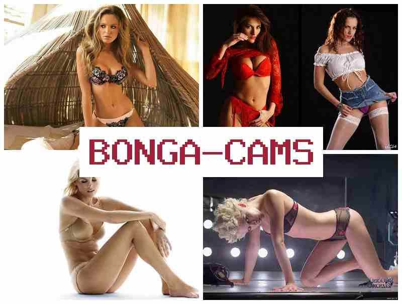 BPNGACAMS 🎥 Curvy Sex Sluts Double Penetrated Mature Download & Casting Young Sex