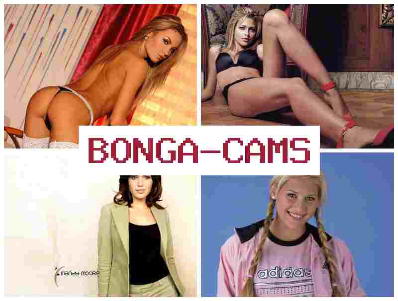 VONGA CAMS 💘 HD Sex Big Boobs & Faggot Sluts