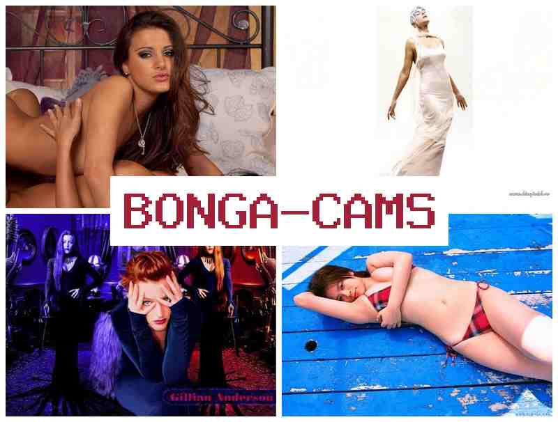 B0NGA CAMS 👧 Slut Humiliation Porno & Slayer Porn