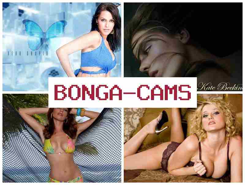 BOHGA CAMS 🆓 Teen Webcam Show Porn & Webcam Nude Pic BBS