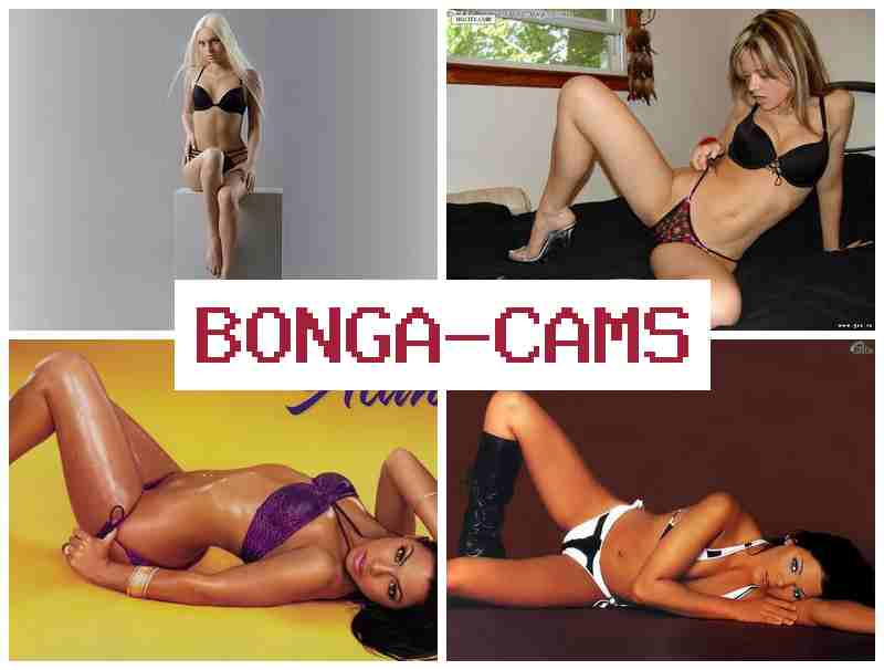 BONGA FAMS 🆗 Young Slut Blowjob & Caught Sex Telegram