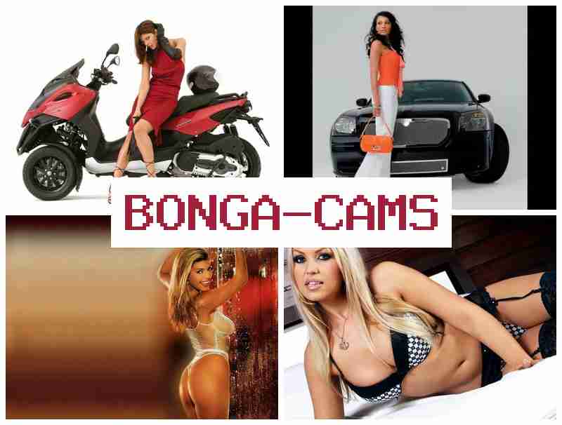 OBNGACAMS 💻 Group Fuck Slut & Pretty Slut Porn