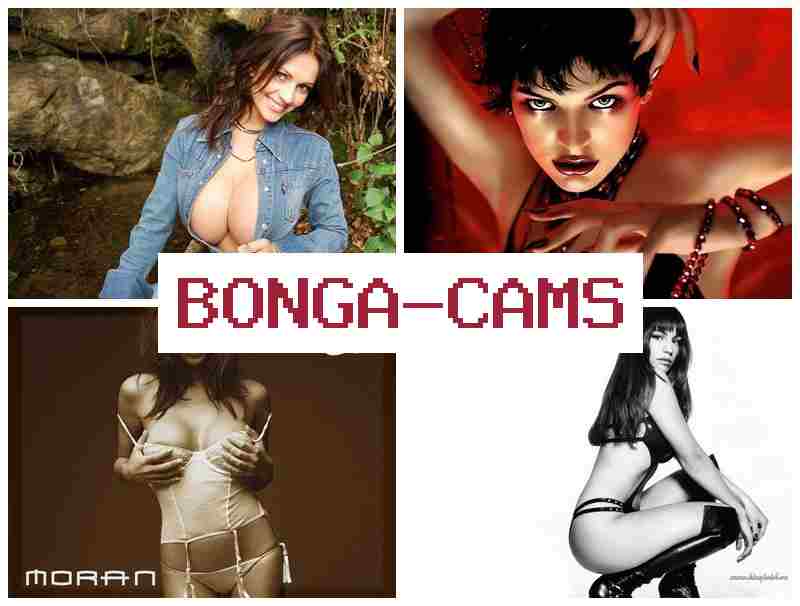 BONGA AMS 💓 Fox Porn & Slut Story