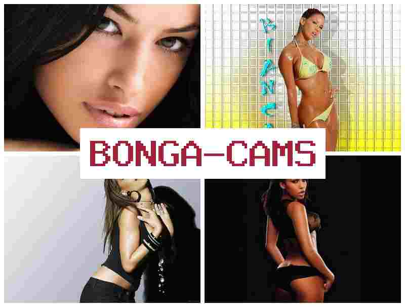 BONGA CMS 💖 Piss Drinking Slut & Slut Photos Porn